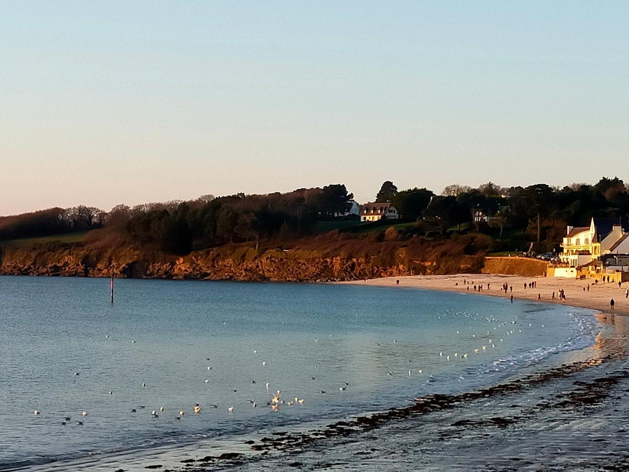 L'Elephant Blanc De Concarnoloc Concarneau Δωμάτιο φωτογραφία